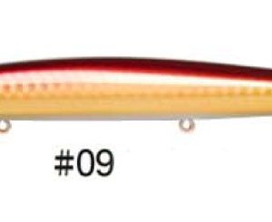 Bloowin 09