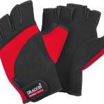 DRAGON red 01 1