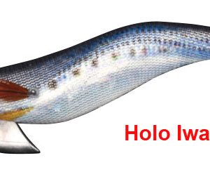EGISTA normal Holo Iwashi HSRI9