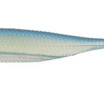 MAKORA 001