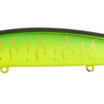 MAKORA 301
