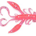 ROCK CRAW 016