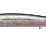SALT MINNOW 1