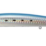SALT MINNOW 3