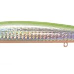 SALT MINNOW 4
