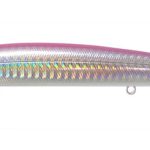 SALT MINNOW 5
