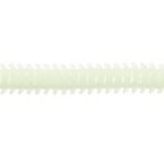 SANDWORM F33jpg