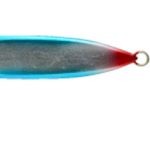 SearideV 01