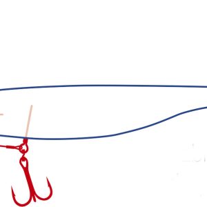 Shad rings 1hooks b