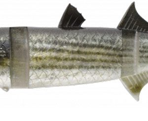 boracon150 02