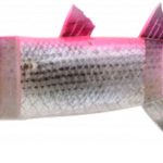 boracon150 09