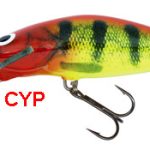 bullheadsdr cyp