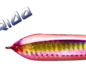 searide 04
