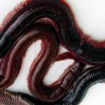 big 26 03 2019 12 38 5c9a0142c3004