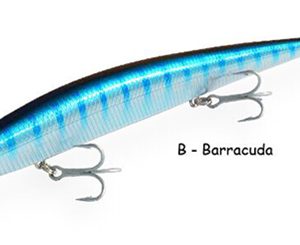 BARRACUDA 175 barracuda