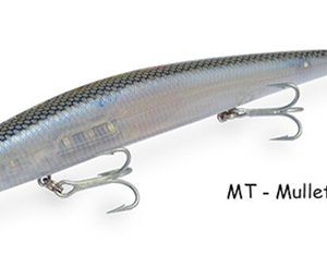 BARRACUDA 200 mullet
