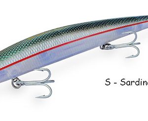BARRACUDA 200 sardina