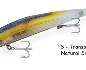 BARRACUDA 175 transparent natural smelt