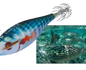 BLOODY FISH 2.0 bonito