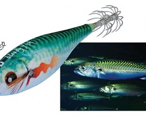 BLOODY FISH 2.0 scomber