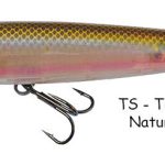 DTD DOG 90 transparent natural smelt