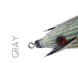 FULL FLASH GLAVOC 2.0 gray