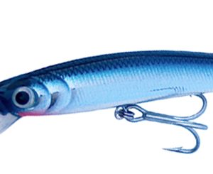 GAVUN 70F blue
