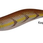 PREMIUM AURI 3.5 brown