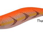 PREMIUM AURI 3.0 orange