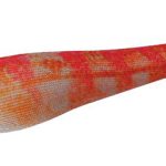 SOFT REAL FISH 1.5 pargo