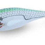 WHITE KILLER BUKVA 2.5 green