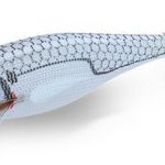 WHITE KILLER BUKVA 2.5 white