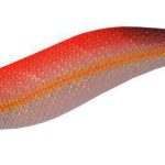 PREMIUM OITA 3.5 red