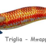 REAL FISH EGI 3.0 triglia