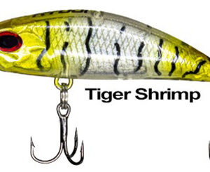 RYUJI S50 Tiger Shrimp