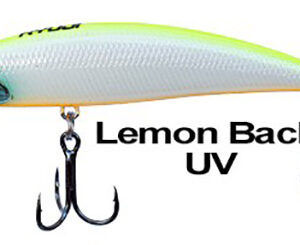 RYUJI S70 Lemon Back