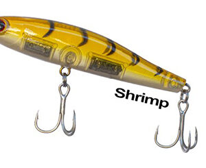 Ryuji Pencil 8cm SHRIMP