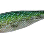 PREMIUM GIRA 1.5 Sardina