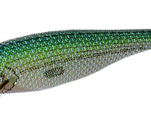 PREMIUM GIRA 1.5 Sardina