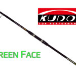 KUDOS Green Face IM6-Τηλεσκοπικό 80/150g 4,20mt