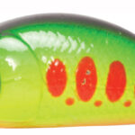 HAIRA TINY SHALLOW PILOT 33F 201