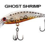BABY MINNOW 50 GHOST SHRIMP