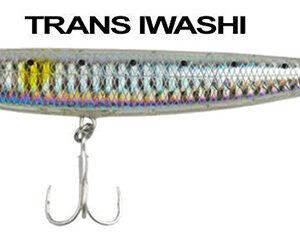 DOG WALKER TRANS IWASHI