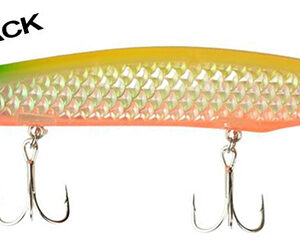 Flash Minnow 14cm CHART BACK