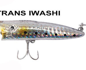 SEA POPPER 70F TRANS IWASHI