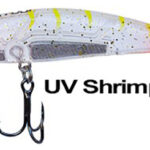 RYUJI S70 Uv Shrimp