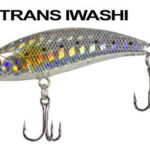 BABY MINNOW 50 TRANS IWASHI