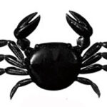 Power Crab Medium Μαύρο