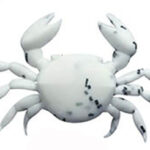 Power Crab Medium Άσπρο