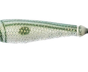 NEW Silicon Soft SQUID 7CM C09